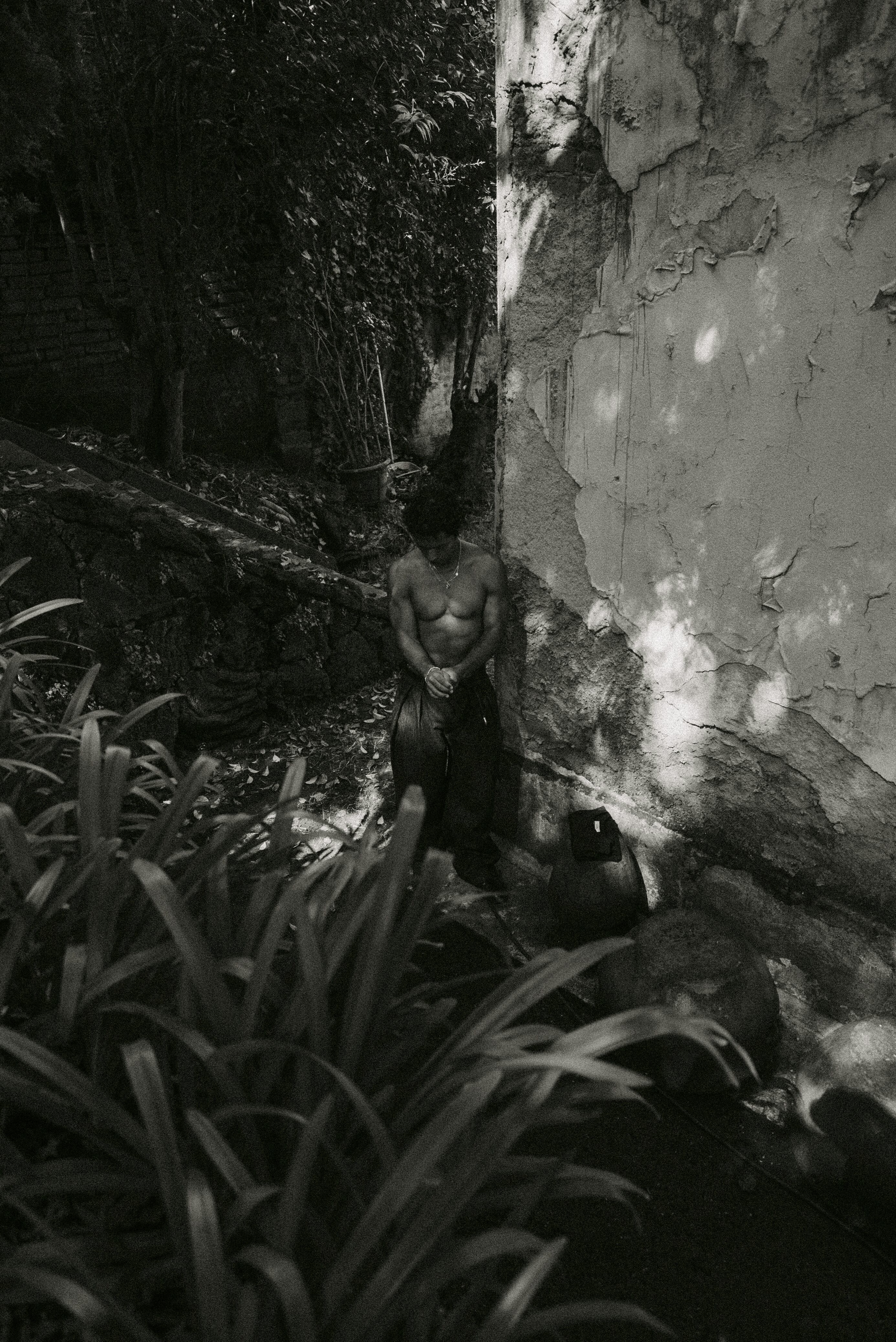 Imágenes de promoción de Gus.