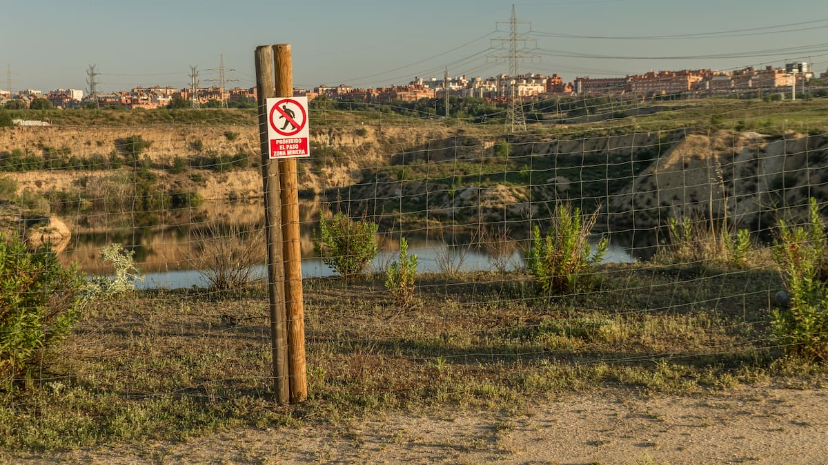 El paraíso para aves que nació de una mina y ahora está en peligro: Madrid podría perderlo para siempre