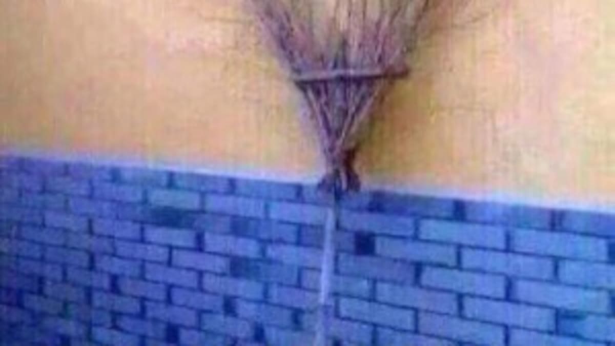 Más fotos que demuestran que eres un malpensado