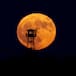 Luna llena de julio 2026: a qué hora y dónde ver la Luna de ciervo en España