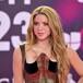 Shakira tiene un deseo para el nuevo año: "Por un 2024 en el que podamos superar lo que nos duele"