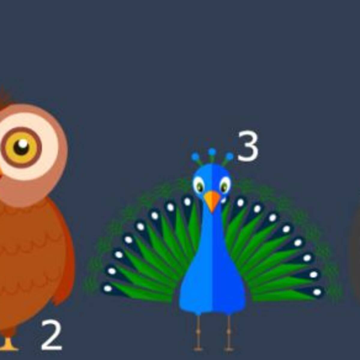 ¿Qué tipo de personalidad tenés? ¡Elegí una de estas aves y enterate!