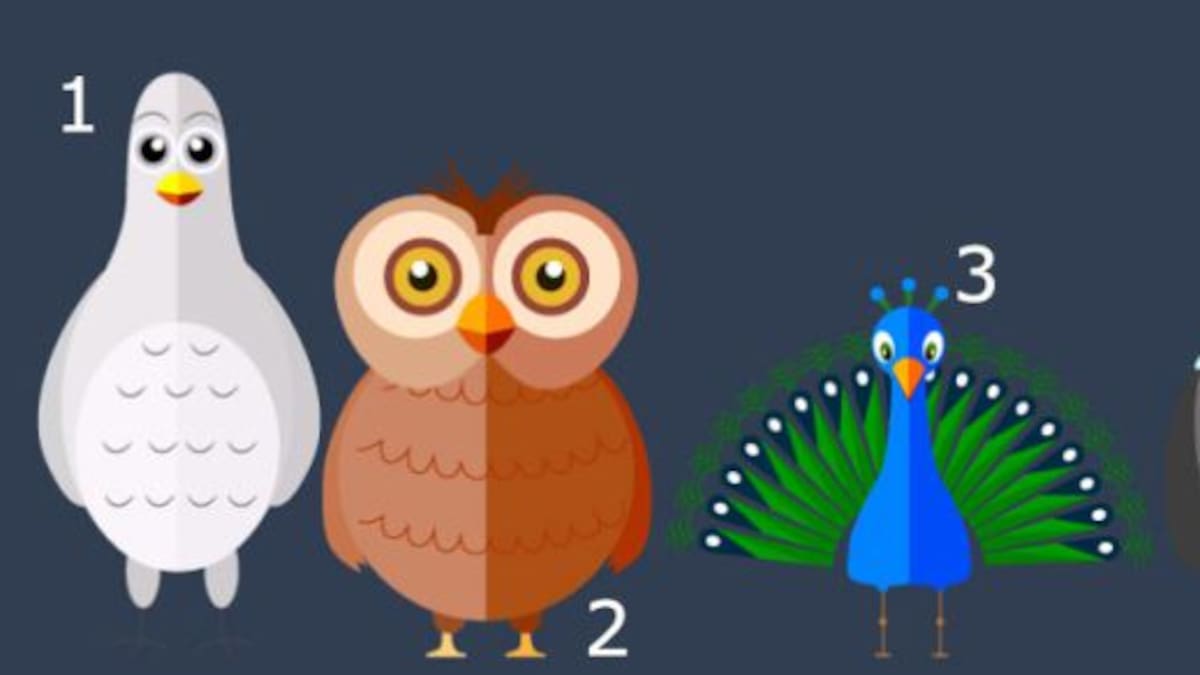 ¿Qué tipo de personalidad tenés? ¡Elegí una de estas aves y enterate!