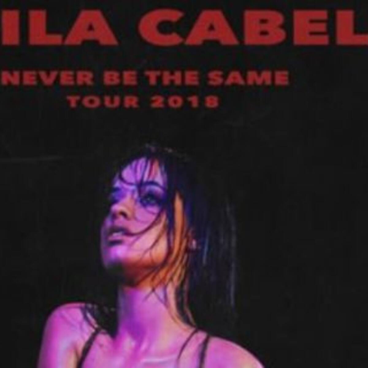 ¡Cada vez falta menos para el show de Camila Cabello!