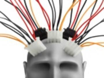 Se logra conectar un cerebro con internet
