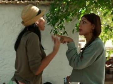 Hay una frase de Patricia Steisy a Daniela Requena en ‘Pesadilla en El Paraíso’ que la audiencia no perdona