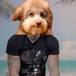 ‘La isla de las tentaciones 3’: el perro de Lola y Jesucristo, los memes del segundo programa
