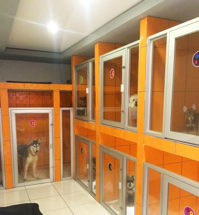 Patitas Market