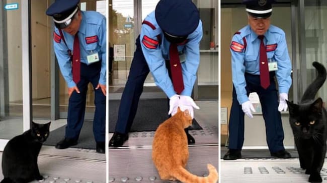 Ken Chang y su compañero, Go-Chan.