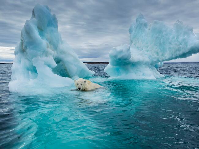 El Ártico es el escenario en el que se desarrolla la trama de &#039;Isabelle&#039;.