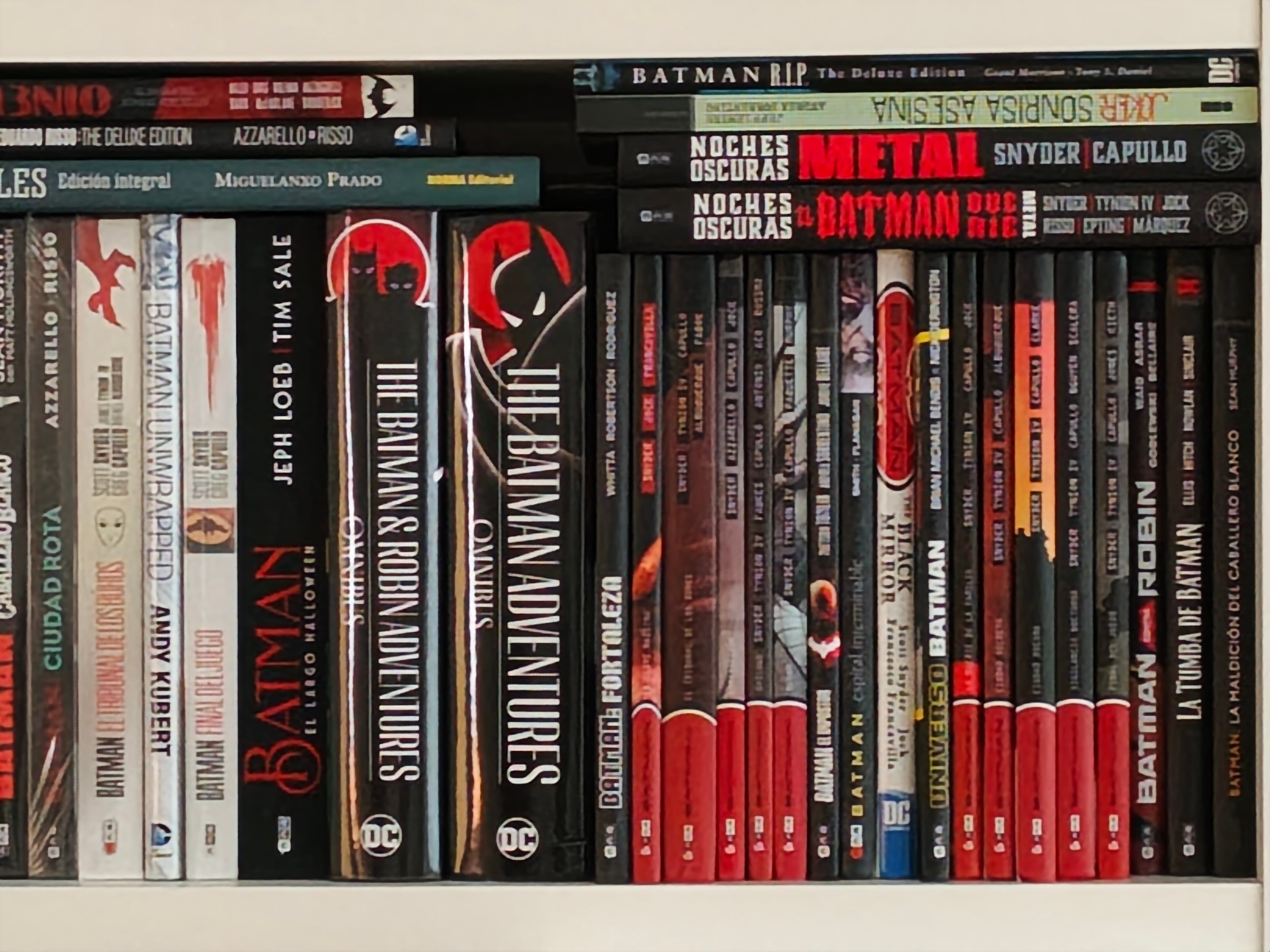 Cuando la luz lo permite, el teleobjetivo funciona muy bien.