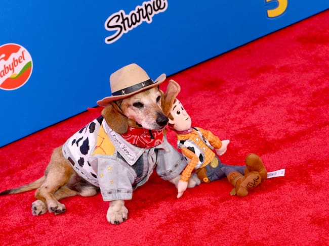 Lucas The Dog en Los Angeles
