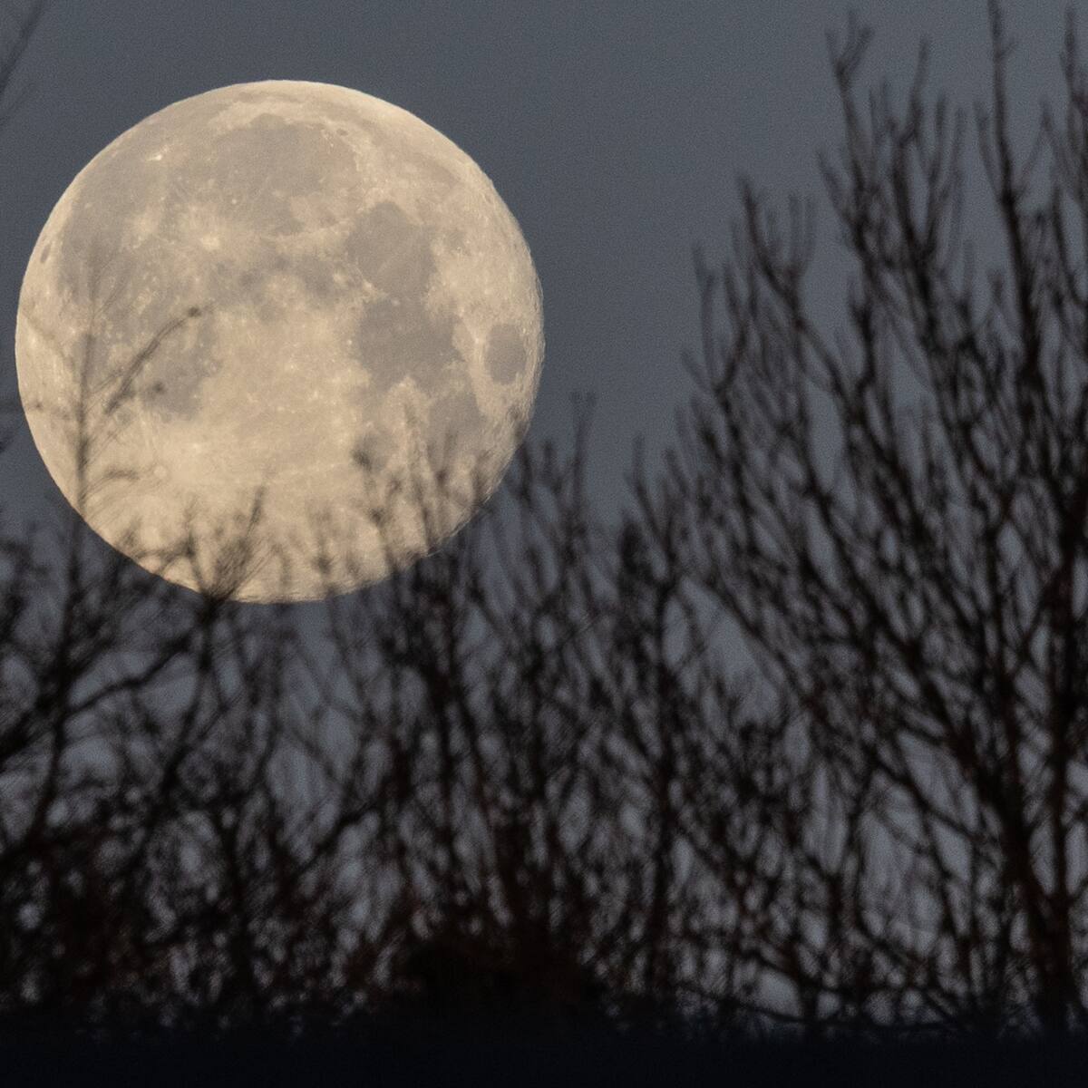 Luna llena de marzo 2026: a qué hora y cómo ver la Luna de Gusano