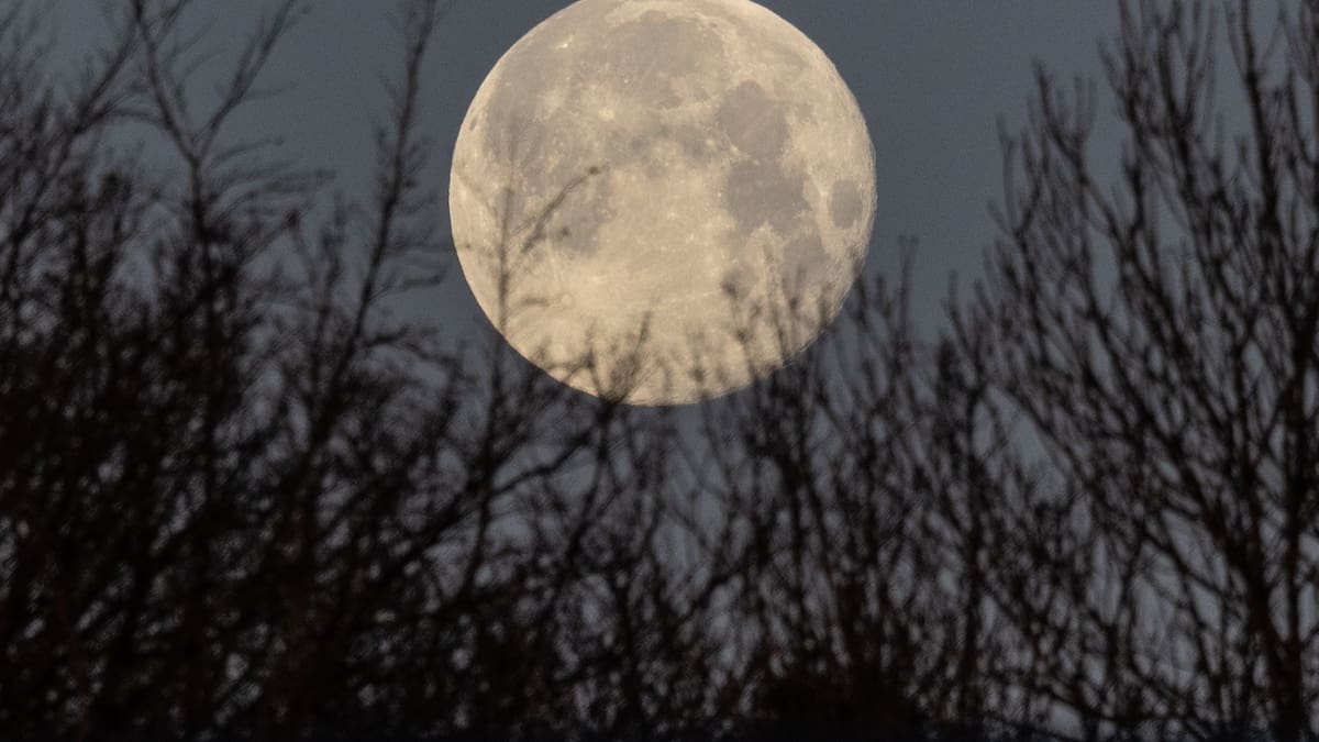 Luna llena de marzo 2026: a qué hora y cómo ver la Luna de Gusano