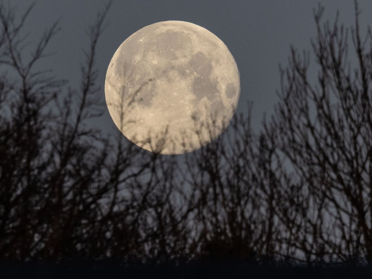 Luna llena de marzo 2026: a qué hora y cómo ver la Luna de Gusano