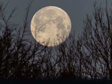 Luna llena de marzo 2026: a qué hora y cómo ver la Luna de Gusano