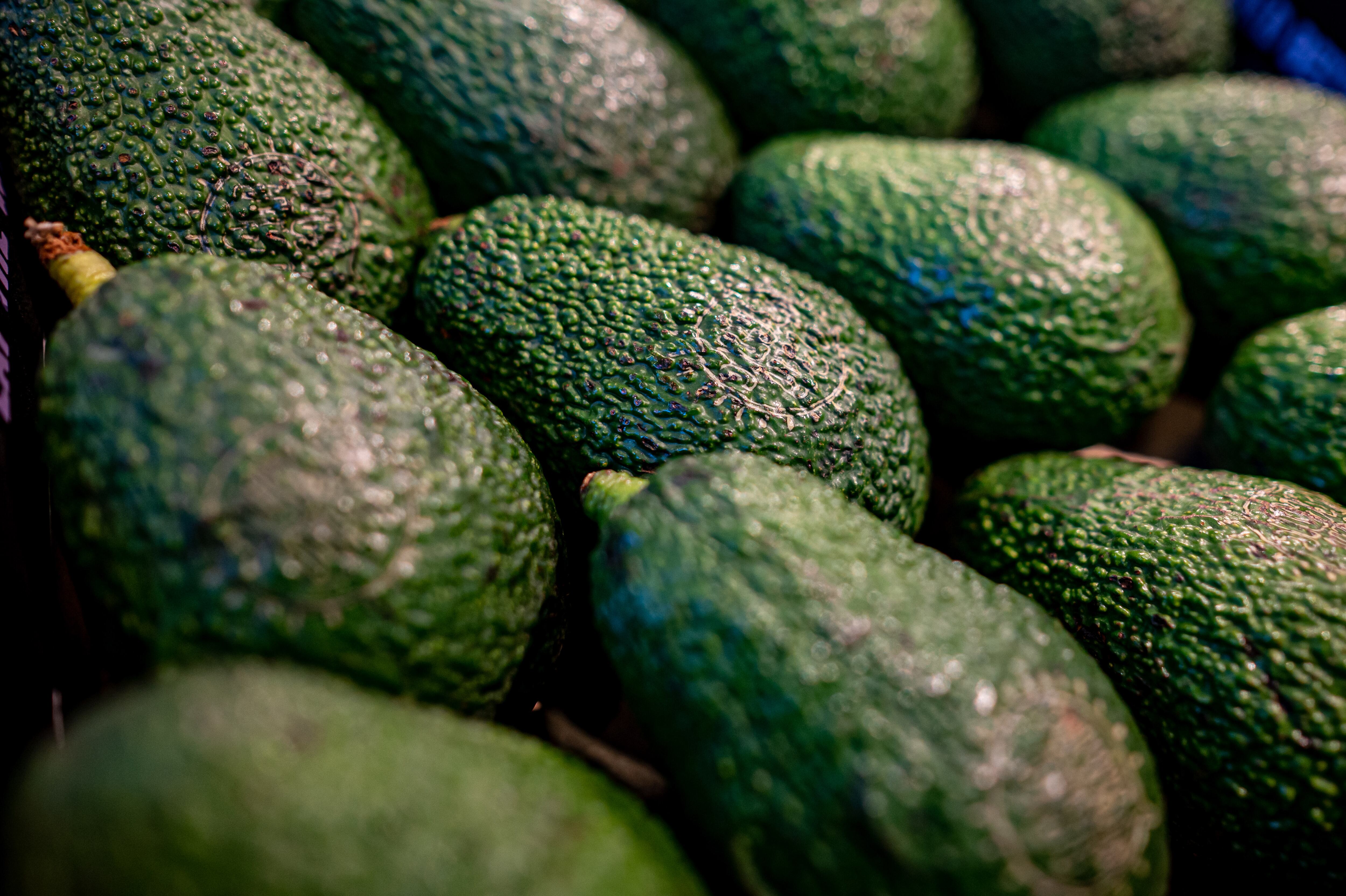 Aguacates, la fruta favorita de millones de personas