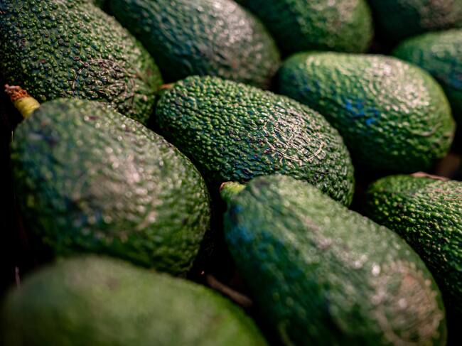 Aguacates, la fruta favorita de millones de personas
