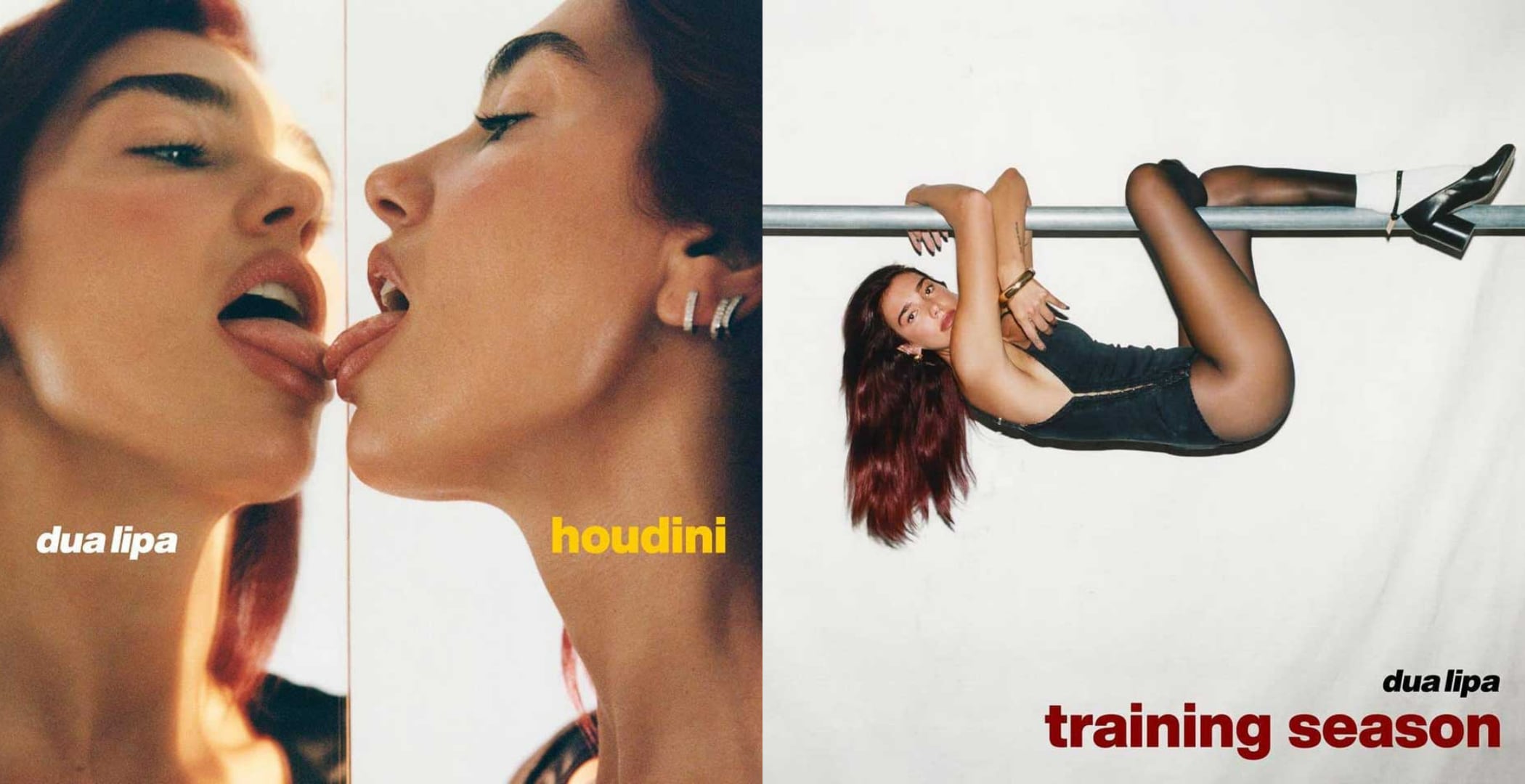 Portadas de &#039;Houdini&#039; y &#039;Training Season&#039; de Dua Lipa