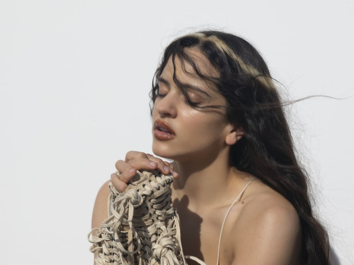 Cómo hacer el 'halo' de Rosalía en el cabello: guía paso a paso