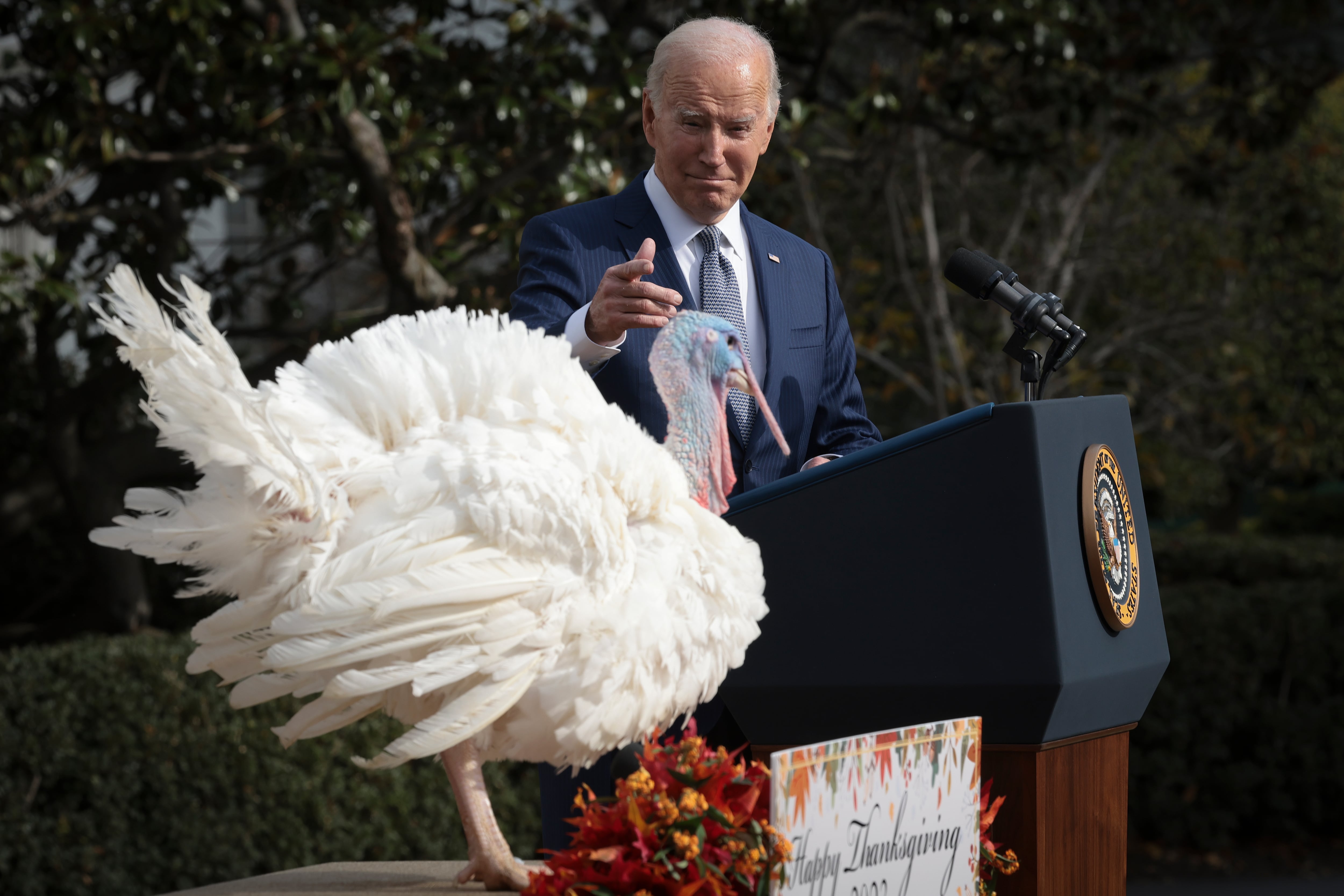 El presidente de Estados Unidos Joe Biden indultando a un pavo el 20 de noviembre de 2023.