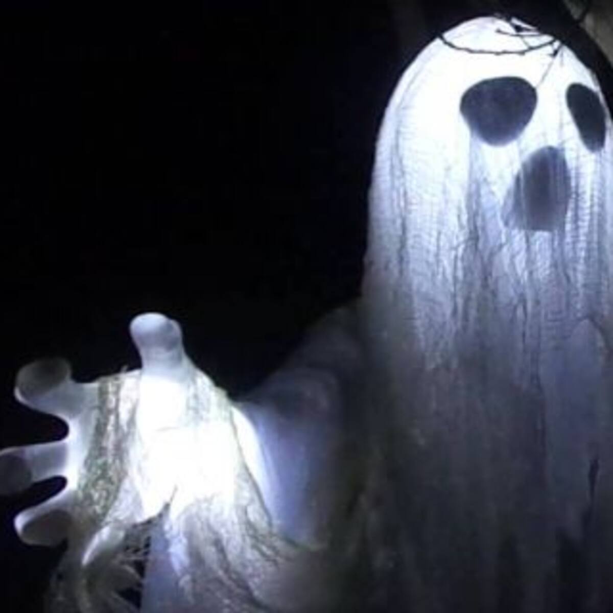 ¿Fue un fantasma?