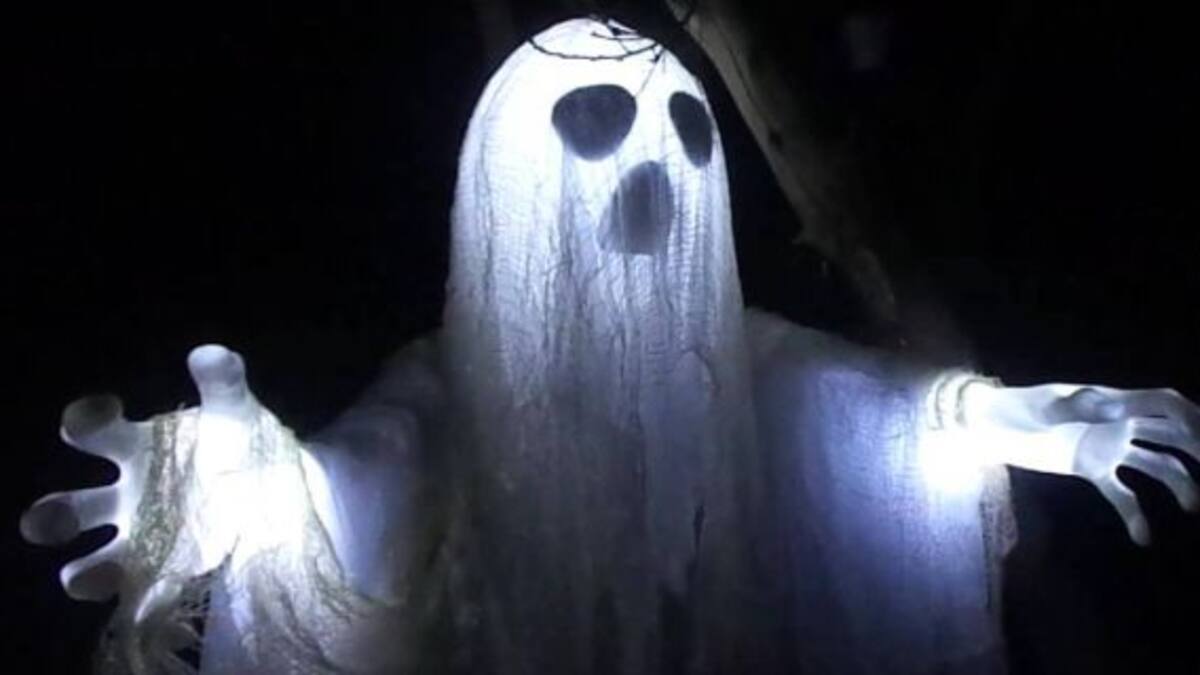 ¿Fue un fantasma?