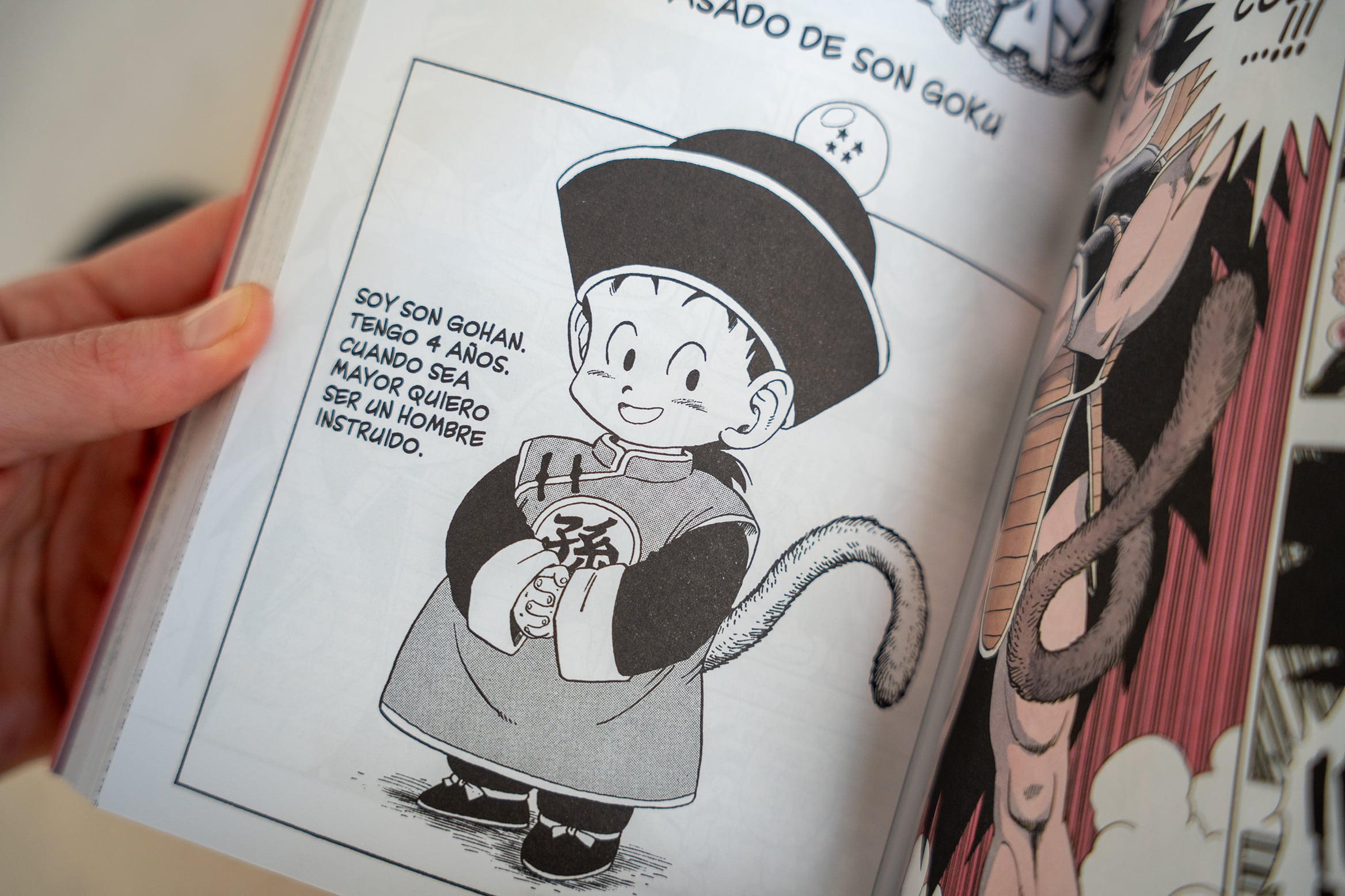 Presentación de Gohan en el manga original.