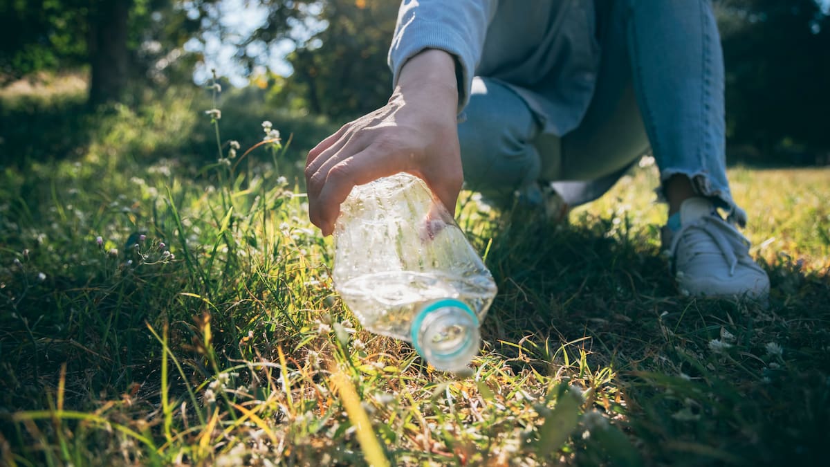 Miles de voluntarios se lanzan al campo… y lo que encuentran dice mucho de nosotros