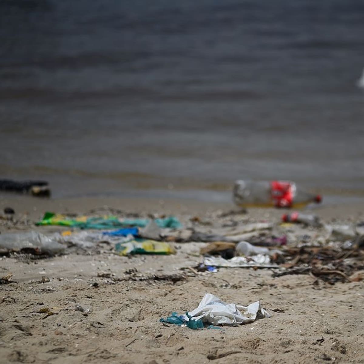Basura en las playas de Baleares: estos son los responsables