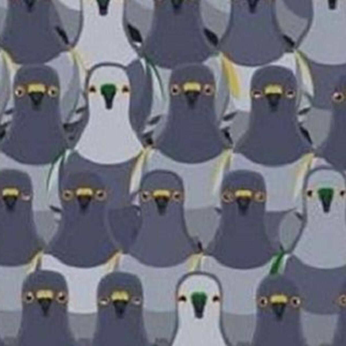 ¿Podrás encontrar al gato escondido entre las palomas?