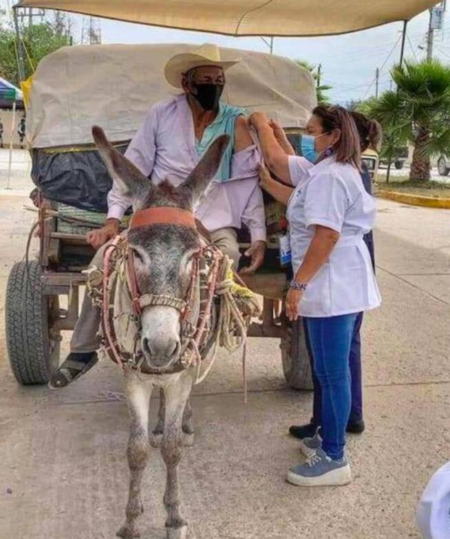Don Gonzalo llegó a recibir su vacuna en su carreta y burro