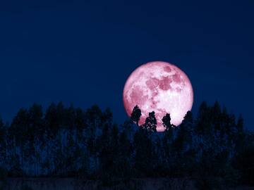 Superluna de fresa 2024: a qué hora se podrá ver mejor la luna llena de junio y por qué es tan especial