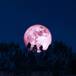 Superluna de fresa 2024: a qué hora se podrá ver mejor la luna llena de junio y por qué es tan especial