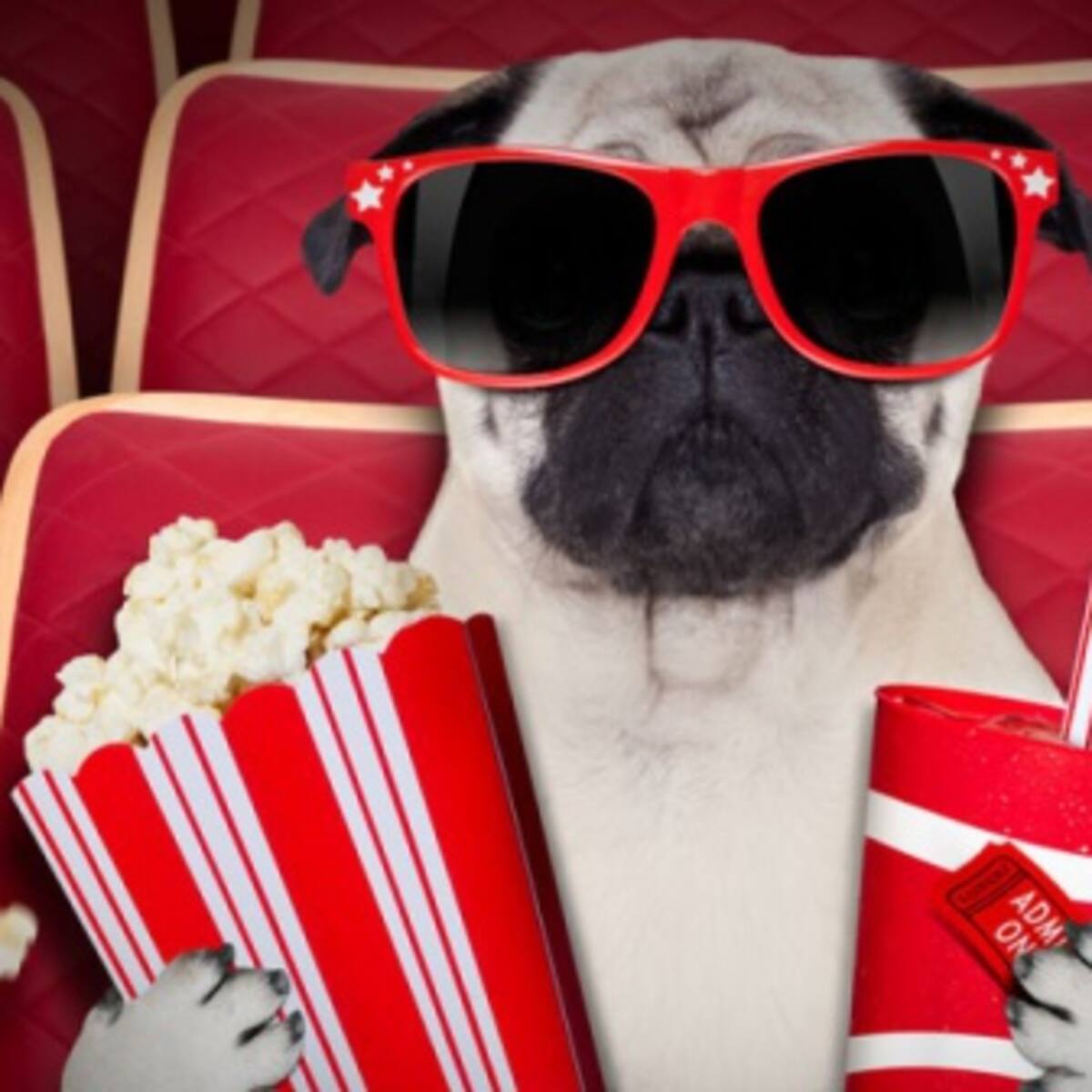 Estas son las 10 mejores películas del año según la Revista Time