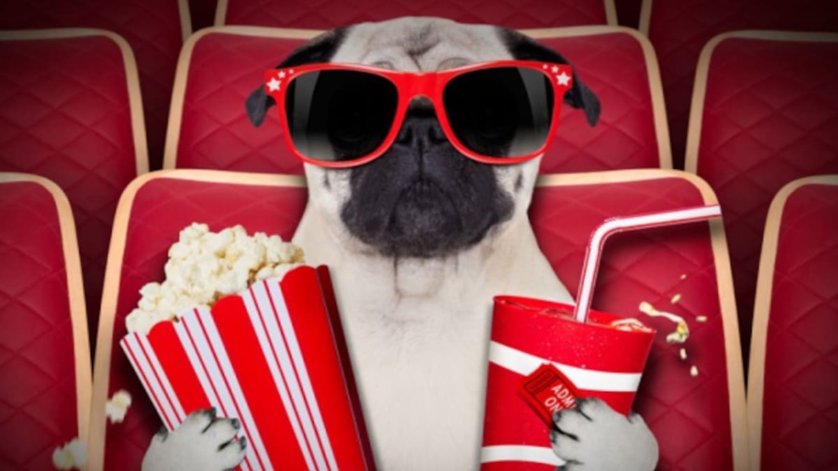 Estas son las 10 mejores películas del año según la Revista Time