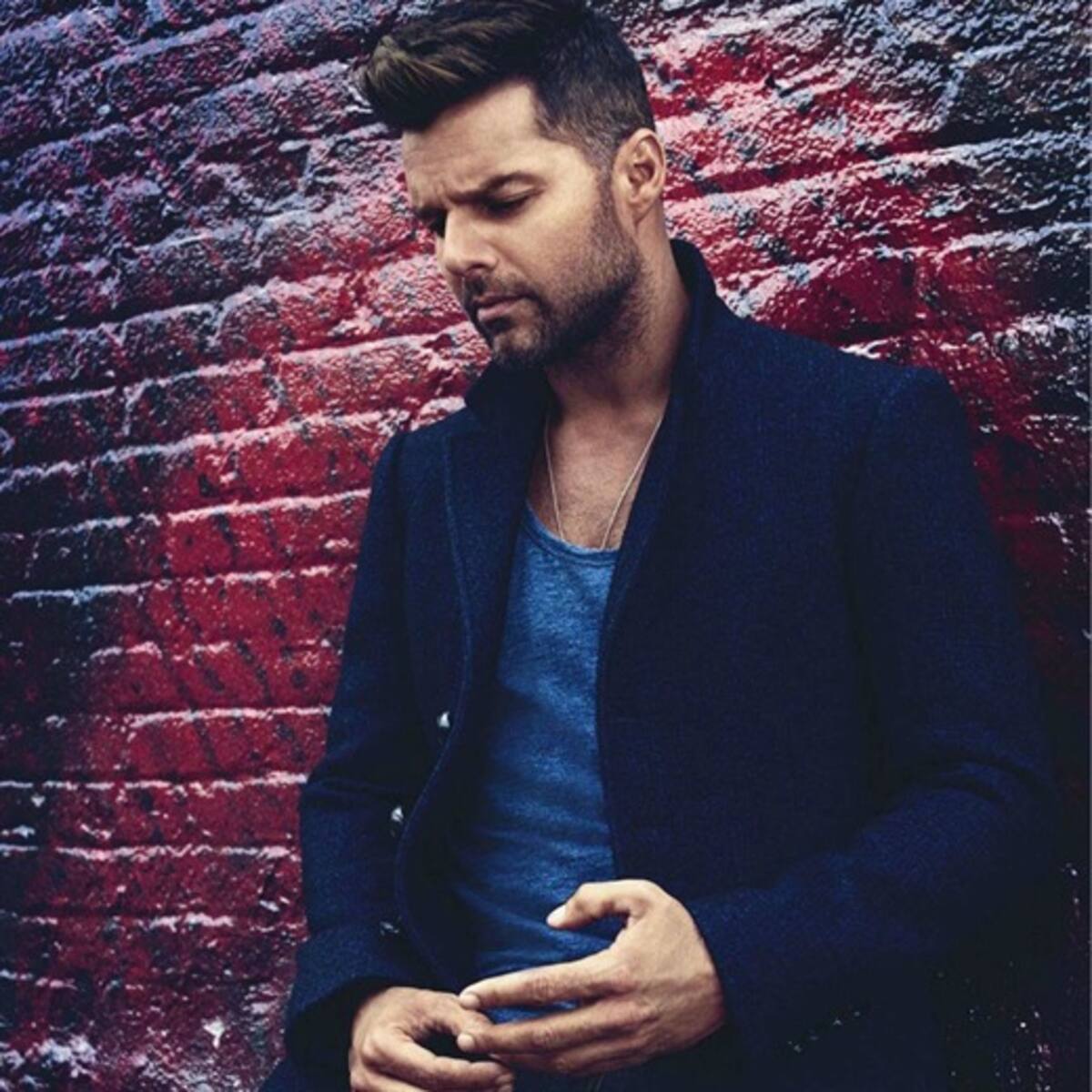 Ricky Martin es el elegido