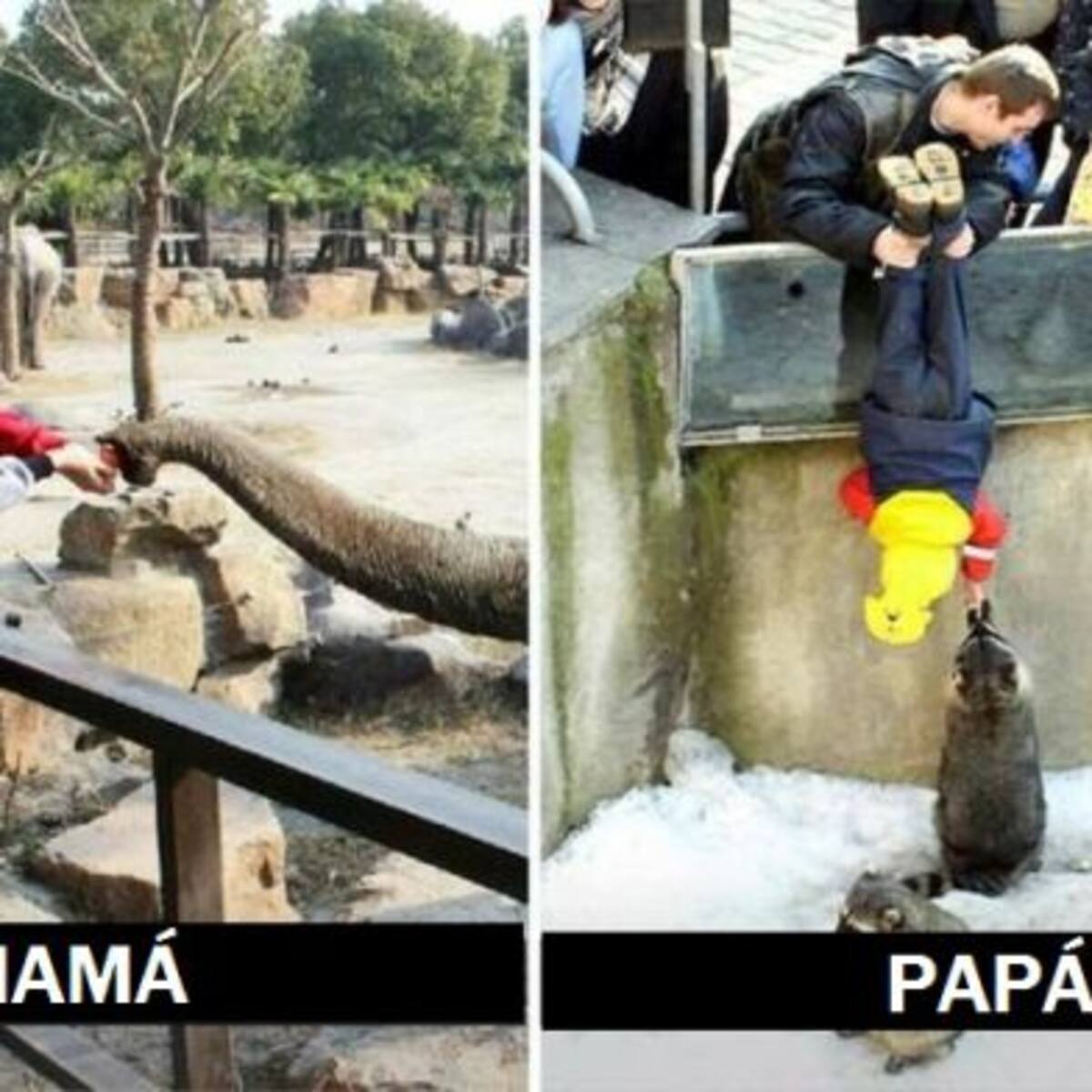 A quién prefiero: ¿mamá o papá?