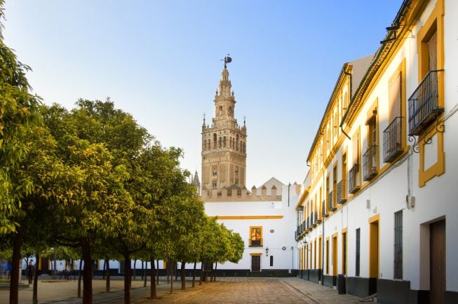 Vistas exteriores a la Catedral y a la Giralda.