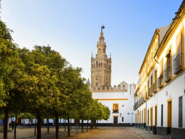 Vistas exteriores a la Catedral y a la Giralda.