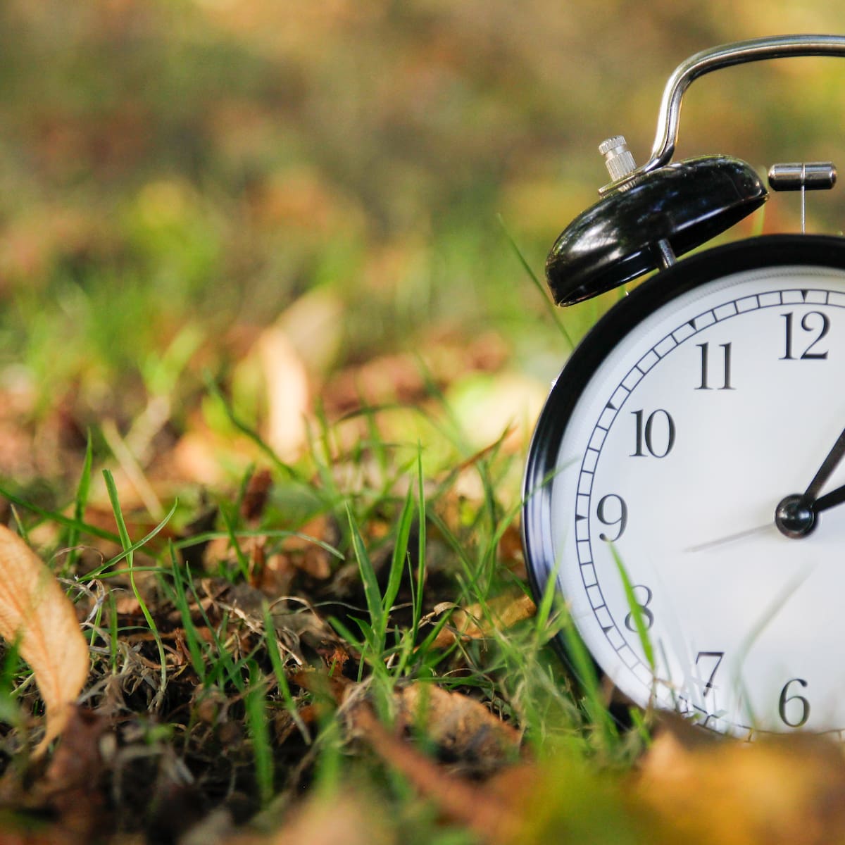 ¿Cuándo empieza la Primavera 2026? La fecha y hora a la que empieza la nueva estación