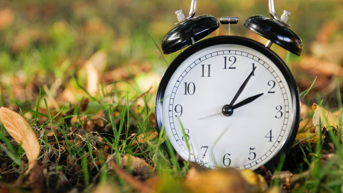 ¿Cuándo empieza la Primavera 2026? La fecha y hora a la que empieza la nueva estación