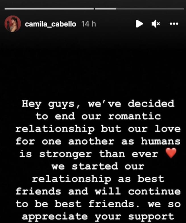 Shawn Mendes y Camila Cabello anunciaron el fin de su relación a través de Instagram