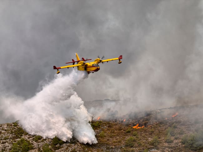 Los incendios de este verano en España están siendo devastadores.