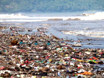 ¿Cómo el micro plástico afecta a los ecosistemas marinos?