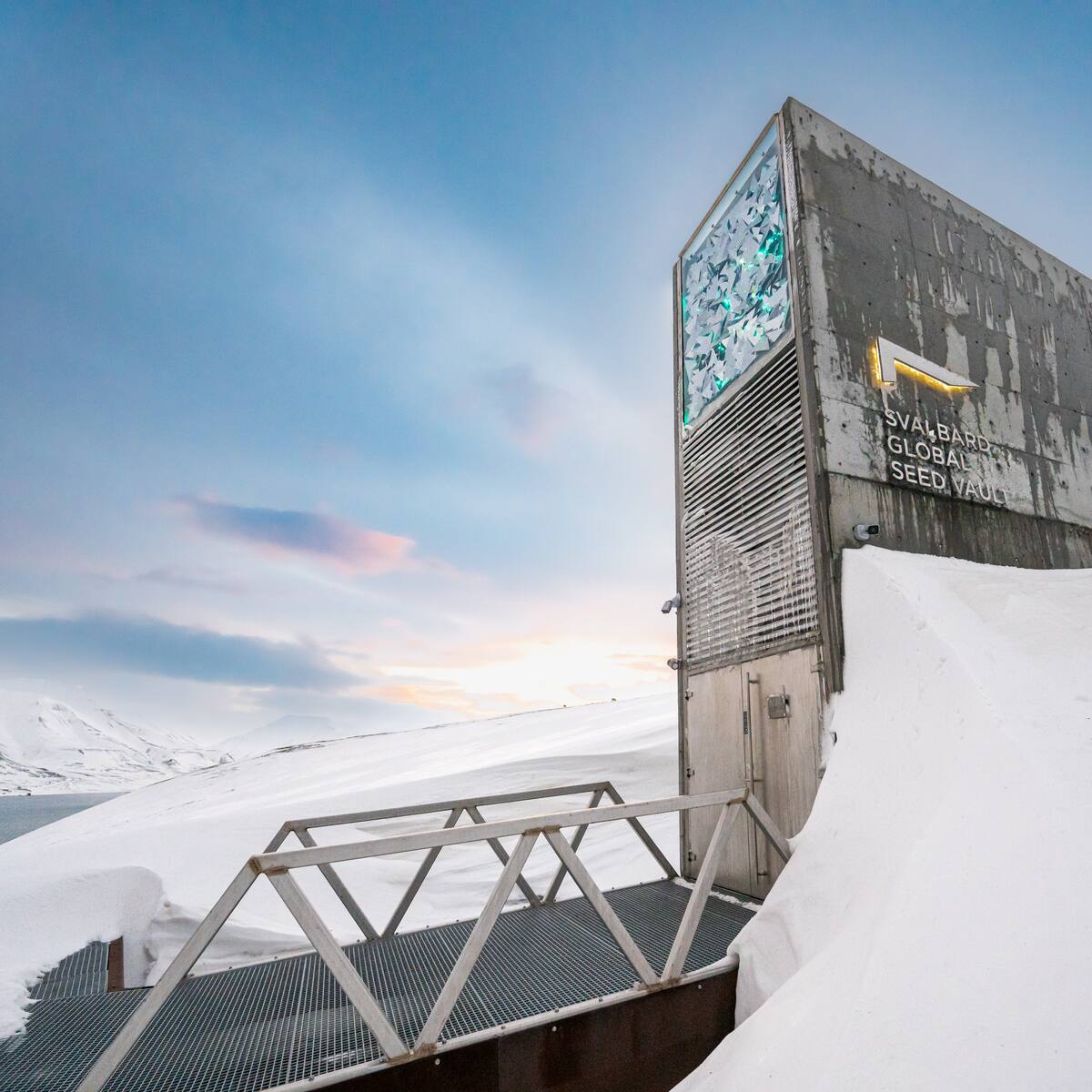 El "arca vegetal" que protege a la humanidad: ¿Qué es el Banco Mundial de Semillas?