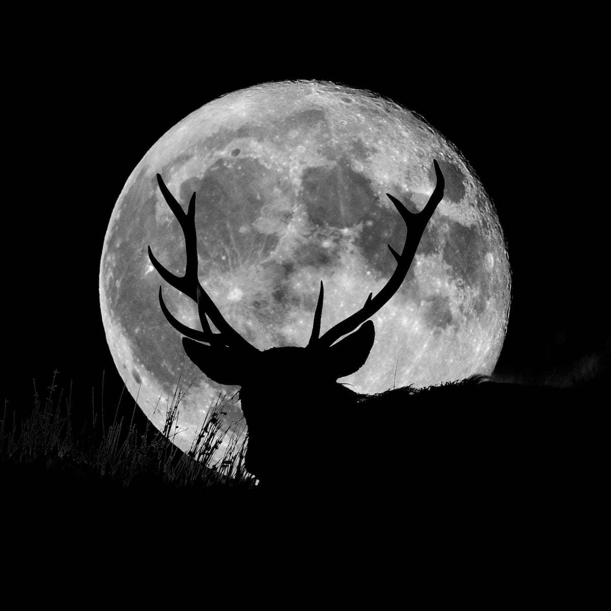 Cuándo es la Luna llena de julio 2026: a qué hora y dónde ver la Luna de ciervo hoy en España