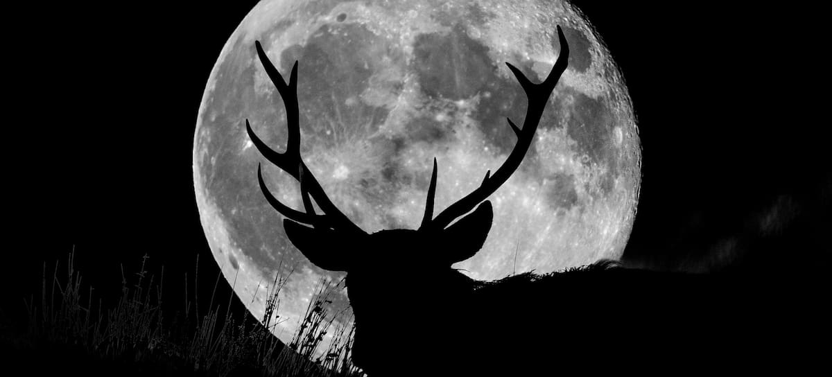 Luna llena julio.