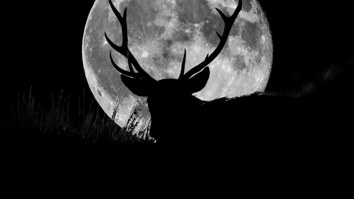 Cuándo es la Luna llena de julio 2026: a qué hora y dónde ver la Luna de ciervo hoy en España