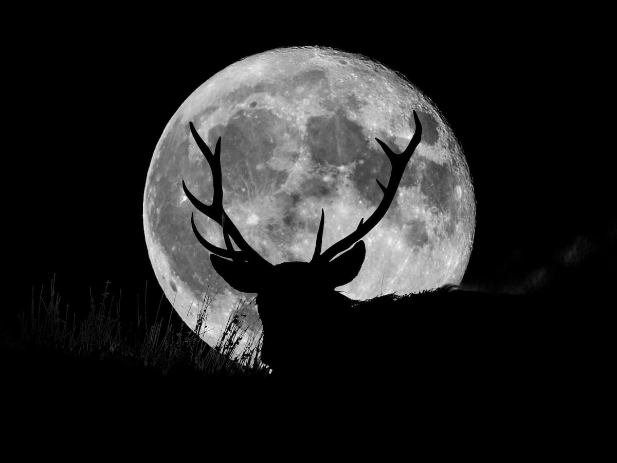 Luna llena de julio 2026: cuándo es, a qué hora y dónde ver la Luna de ciervo en España